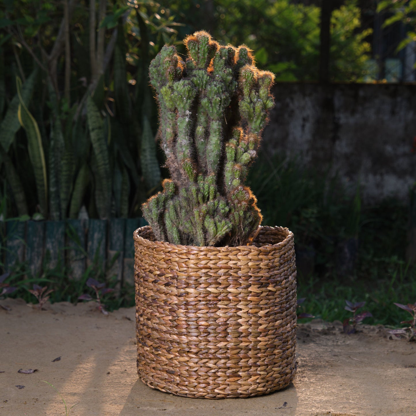 Multipurpose Water Hyacinth Basket